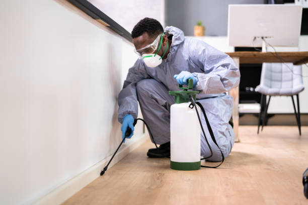 Best Fumigation Services  in Franklin Lakes, NJ